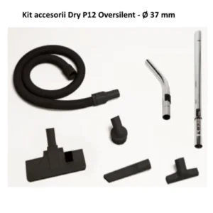 Aspirator pentru praf Dry P12 Oversilent